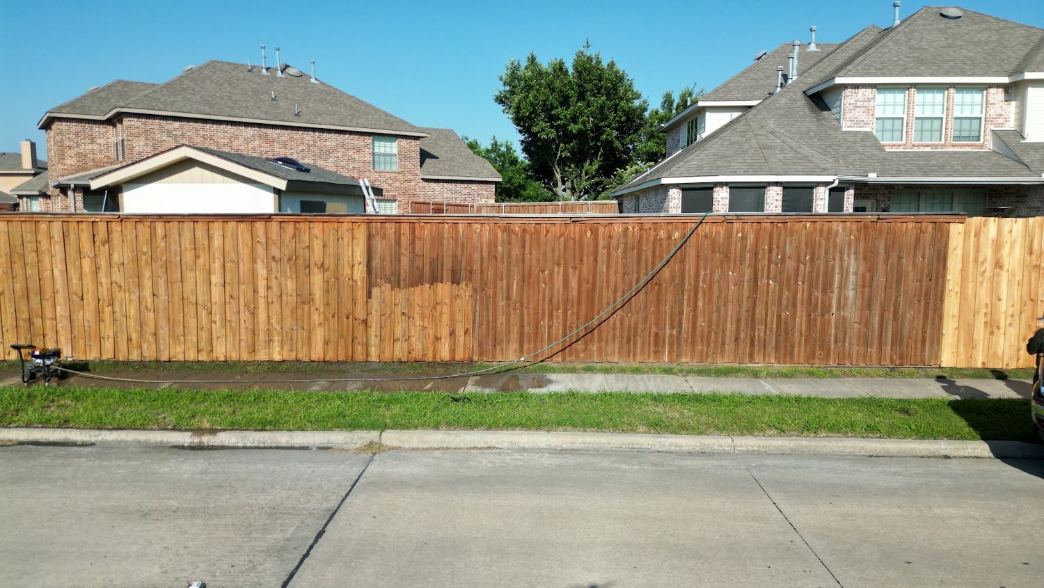 Staining in progress